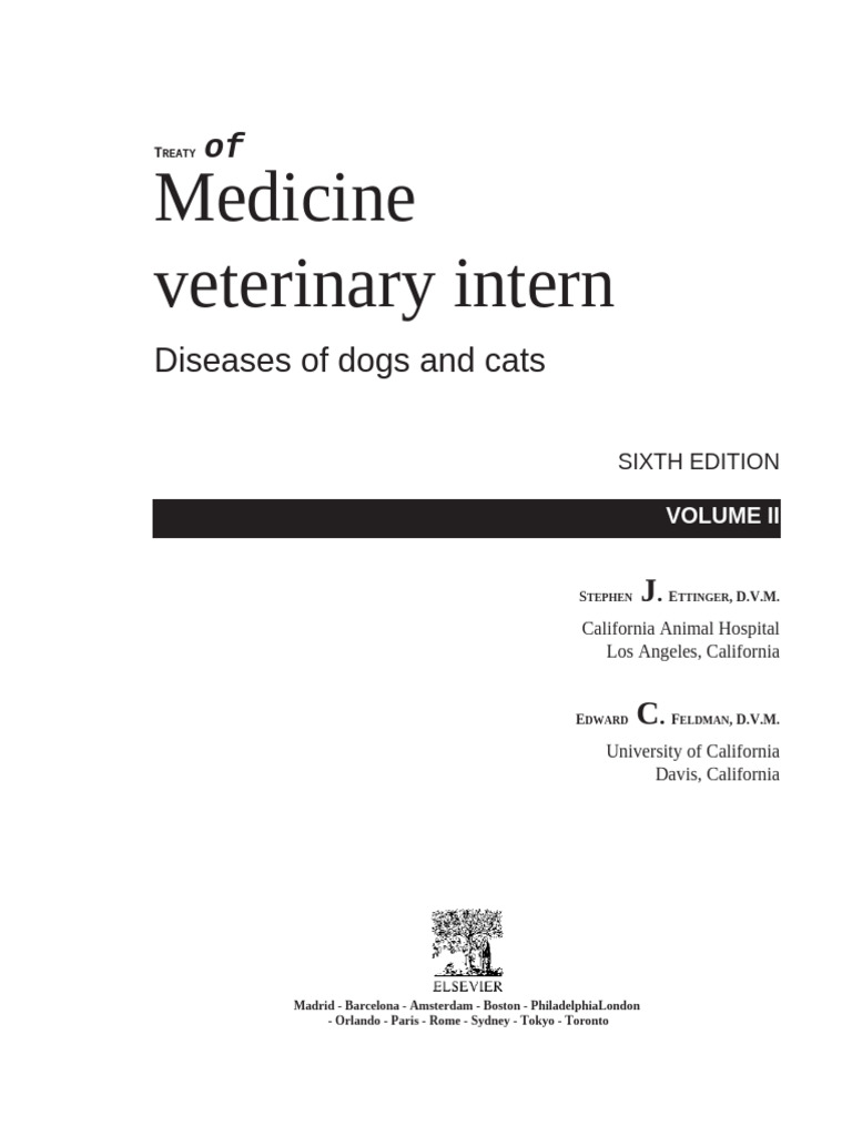 10 Internal Medicine Veterinarian in New York Neighborhoods