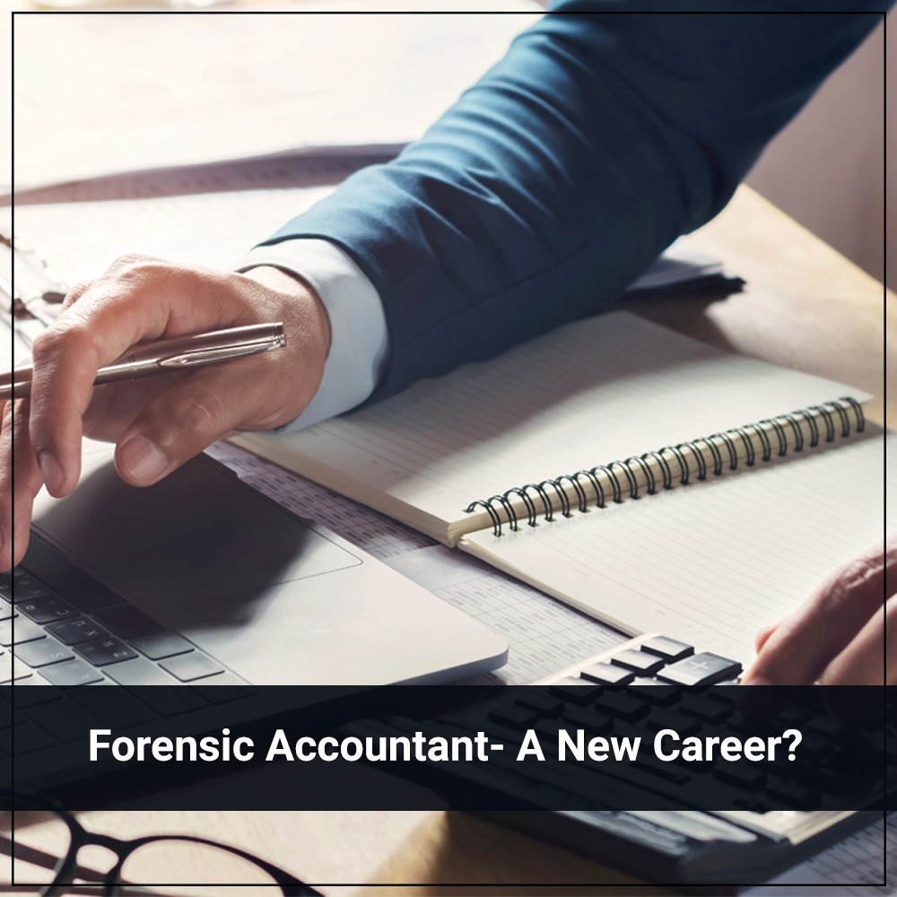 10 Forensic Accountant in New York Neighborhoods