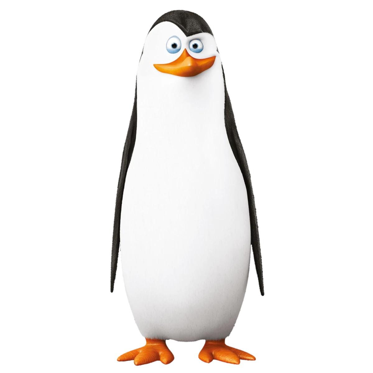 10 Kowalski’s in New York Neighborhoods
