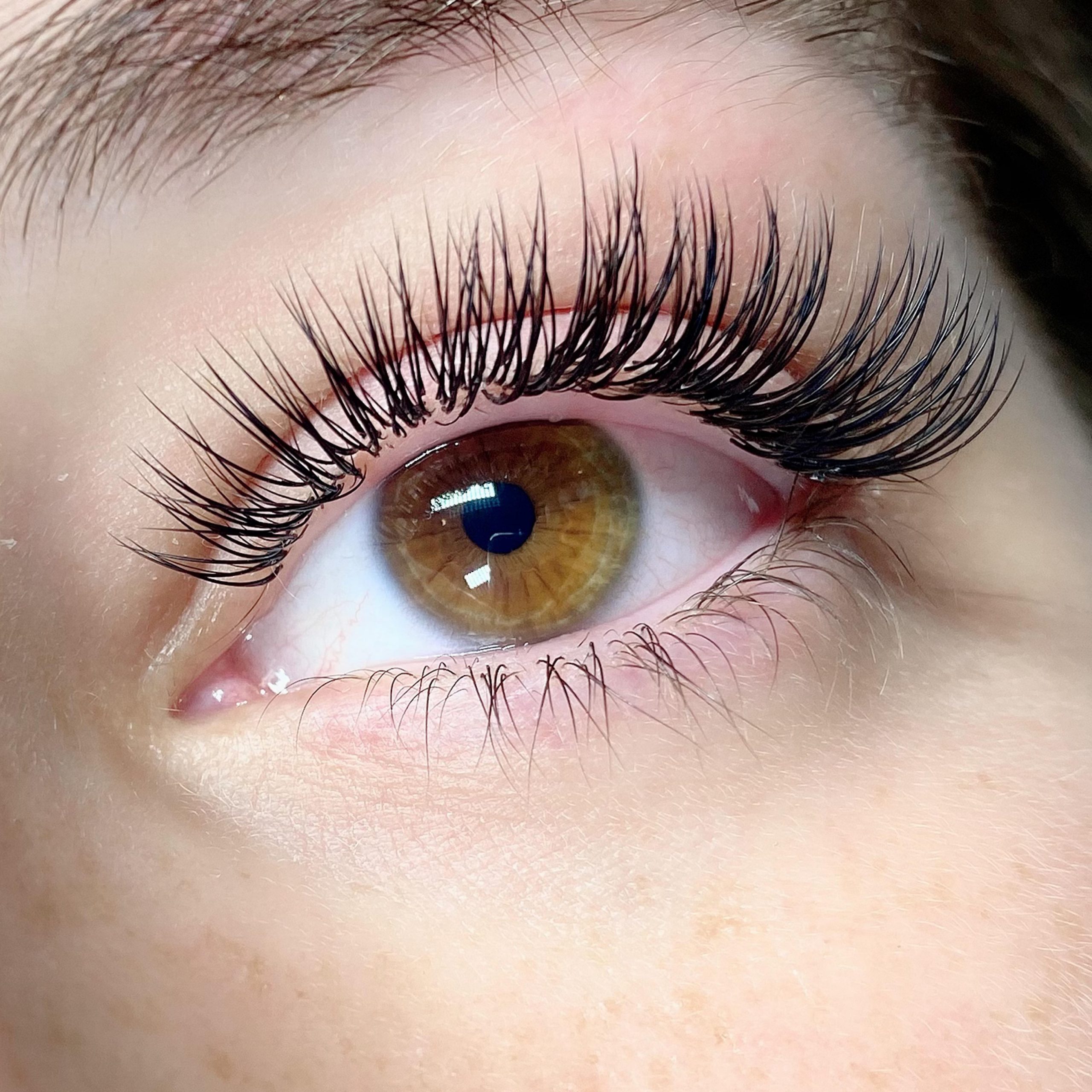 10 Lash Lift in Los Angeles Neighborhoods