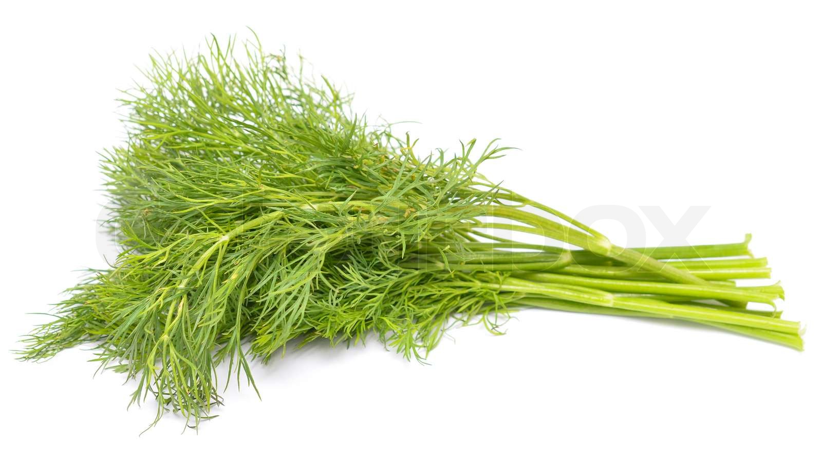10 Fresh Dill in New York Neighborhoods