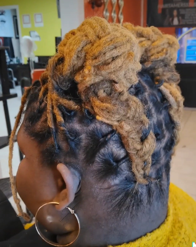 10 Dreadlock Retwist in New York Neighborhoods