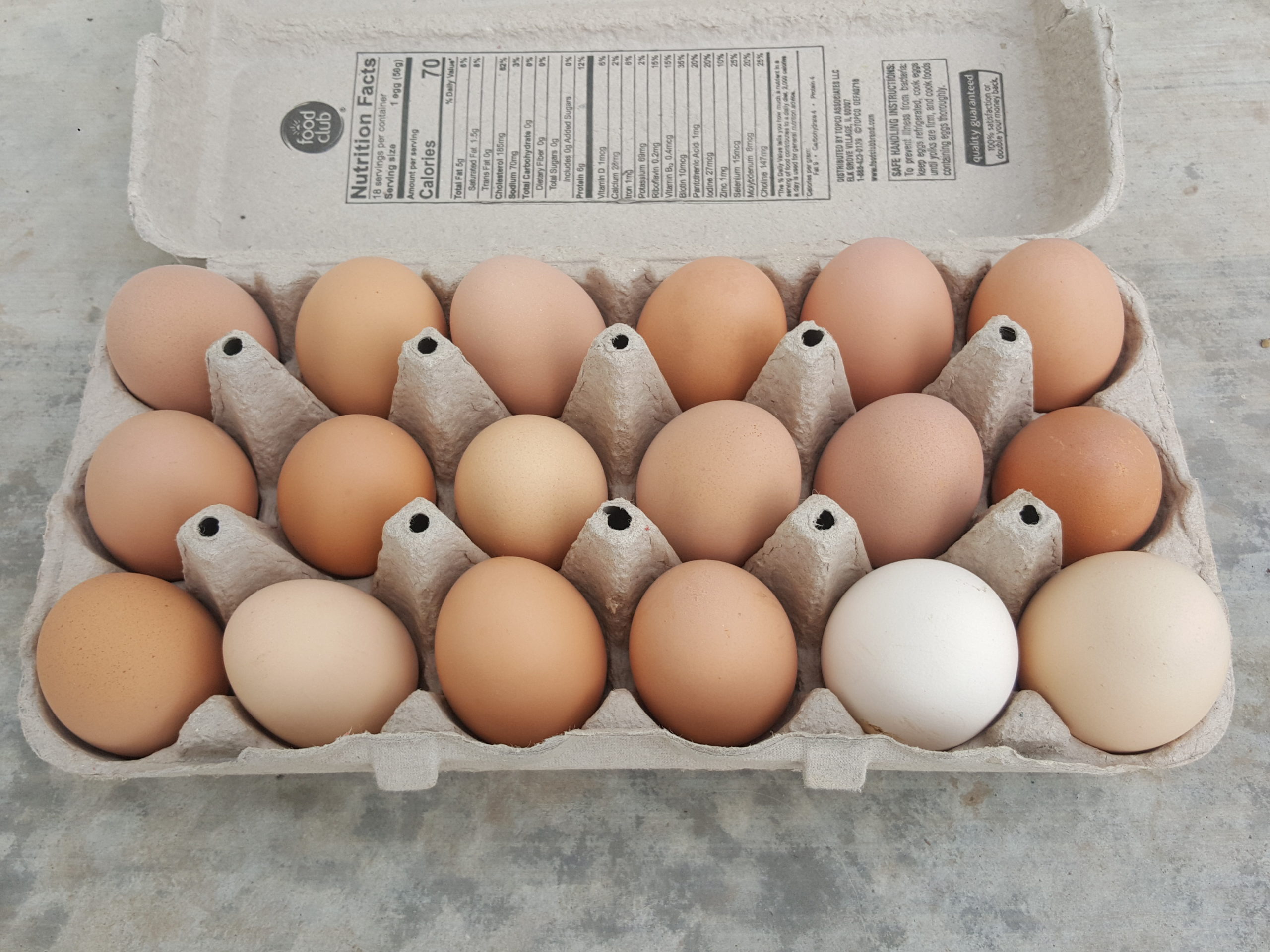 10 Pasture Raised Eggs in New York Neighborhoods