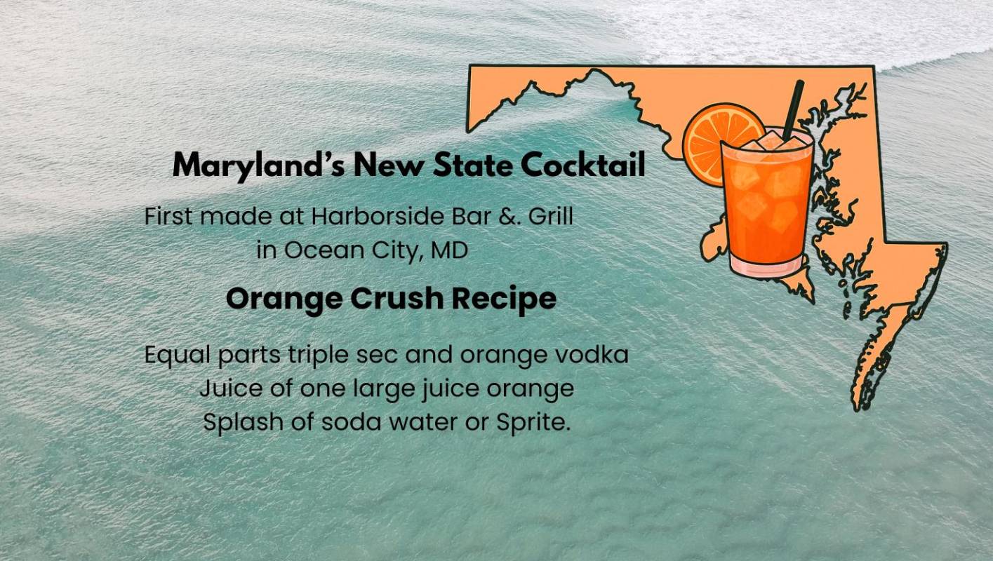 10 Maryland Inspection in New York Neighborhoods