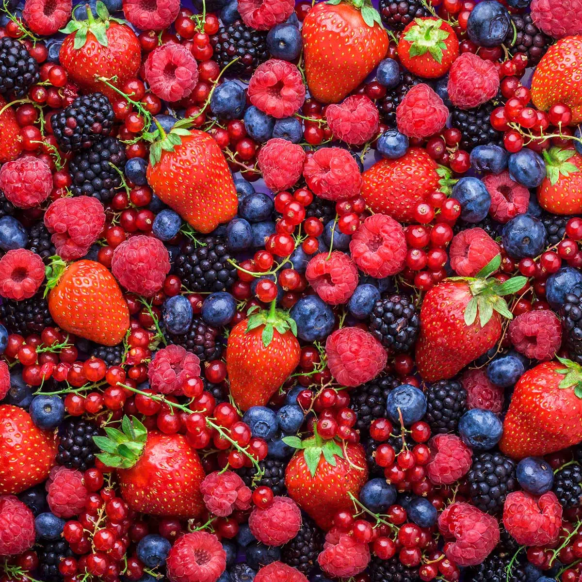 10 Berry Cherry Buzzballz in New York Neighborhoods