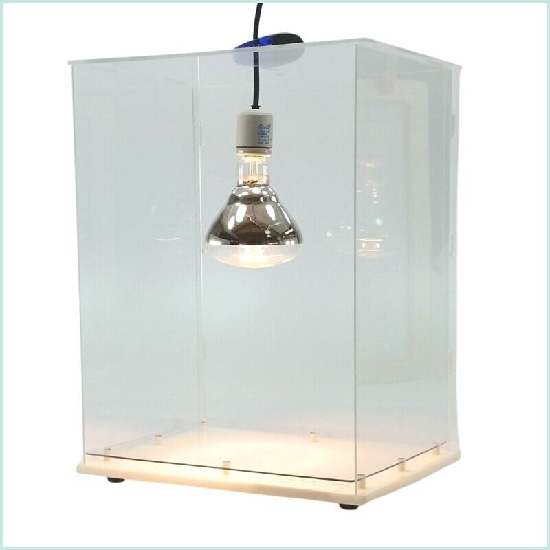 10 Sugar Shacks in New York Neighborhoods