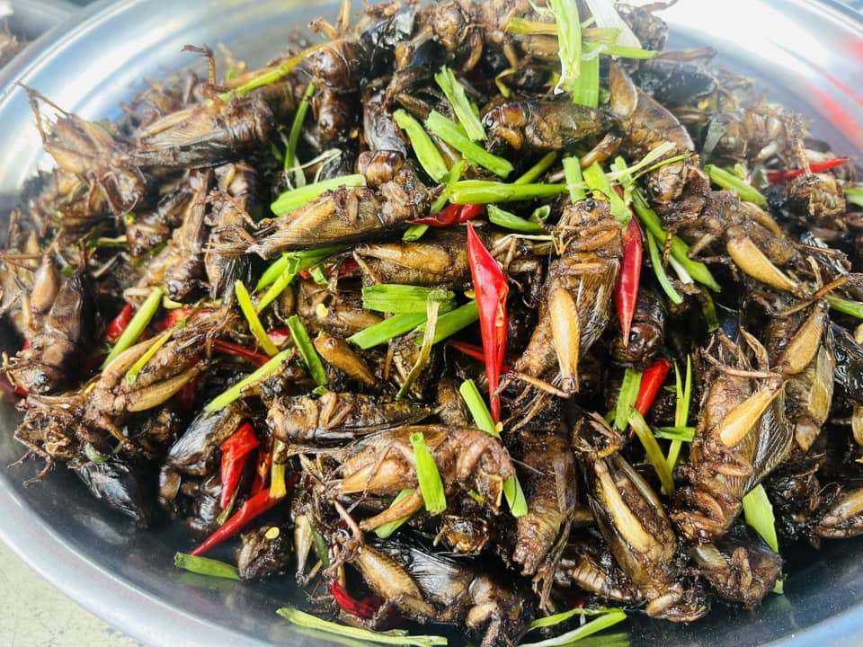 10 Syrian Food in New York Neighborhoods