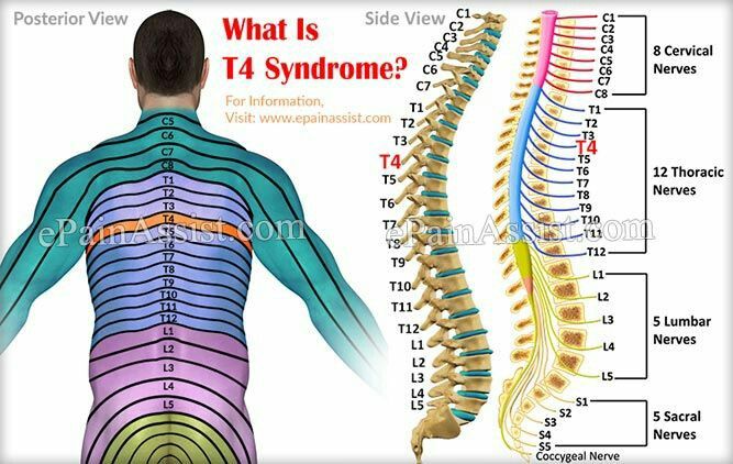 10 T4 in New York Neighborhoods