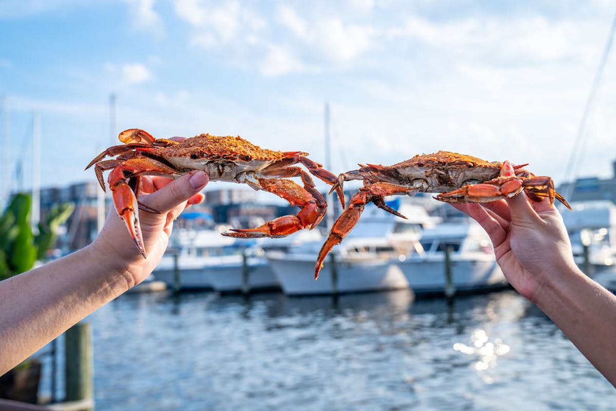 10 All You Can Eat Crabs in New York Neighborhoods