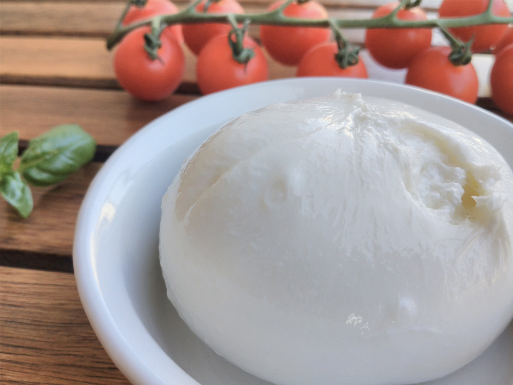 10 Burrata Cheese in New York Neighborhoods