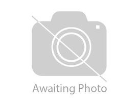 10 Donkeys For Sale in New York Neighborhoods