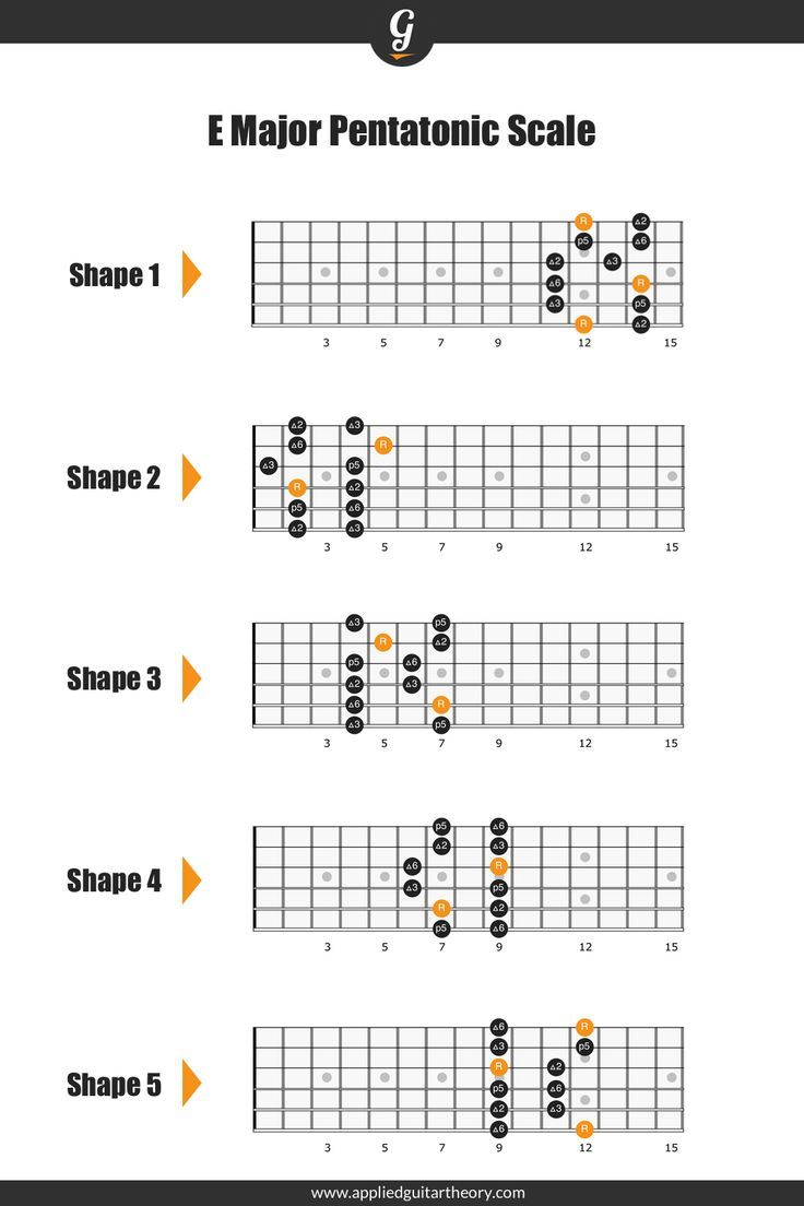 10 Guitar Set Up in New York Neighborhoods