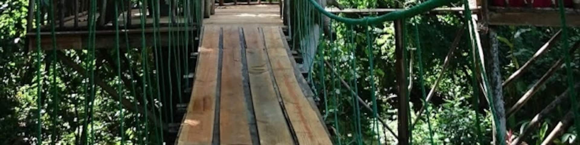 10 El Valle in New York Neighborhoods