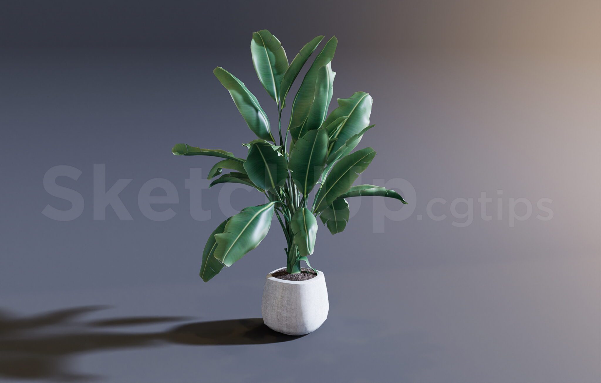 10 Plant Jobs Hiring in New York Neighborhoods