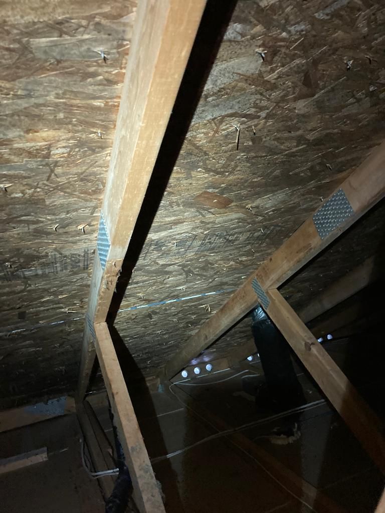 10 Attic Mold Remediation in New York Neighborhoods