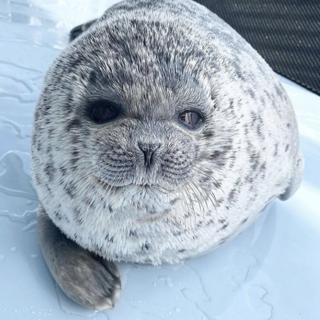 10 Seal Coaters in New York Neighborhoods