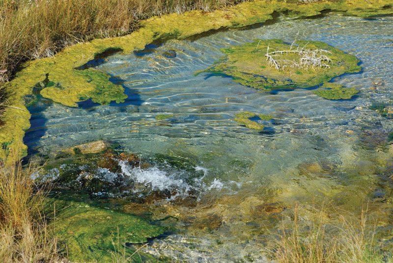 10 Artesian Well in New York Neighborhoods