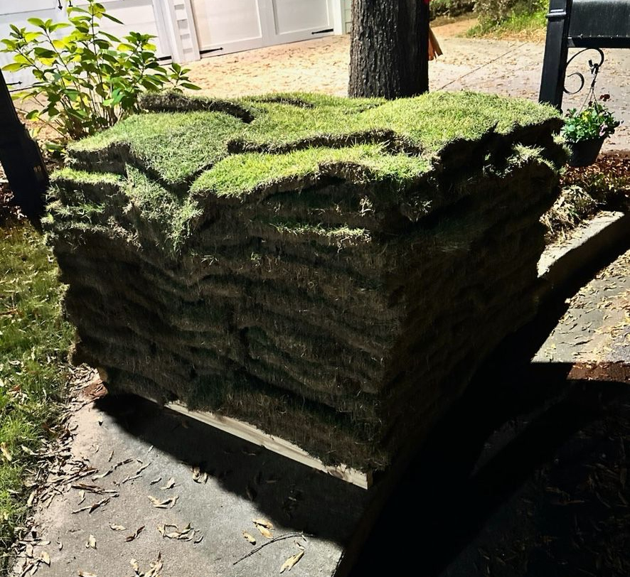 10 Zoysia Sod in New York Neighborhoods