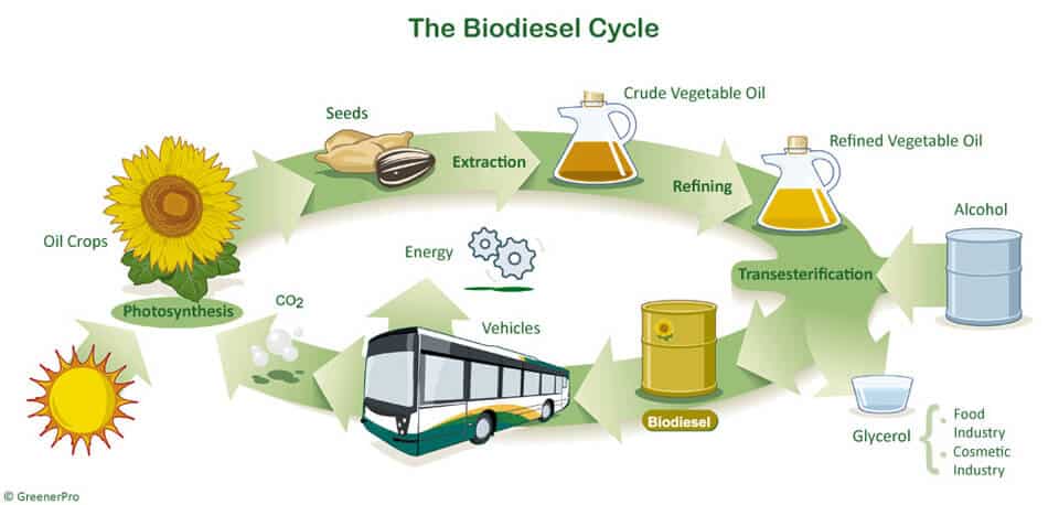 10 Biodiesel in New York Neighborhoods