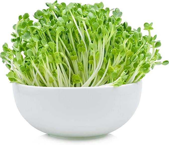 10 Microgreens in New York Neighborhoods