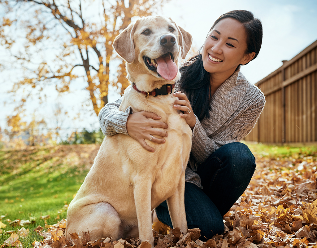 10 Canine Ultrasound in New York Neighborhoods