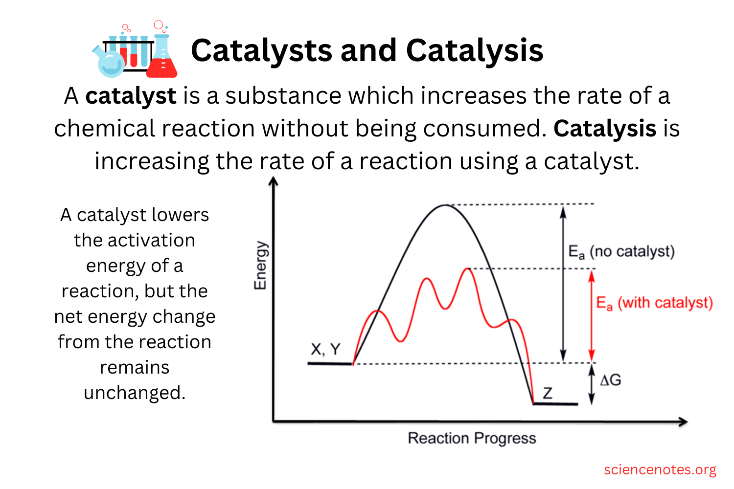 10 Catalyst in New York Neighborhoods