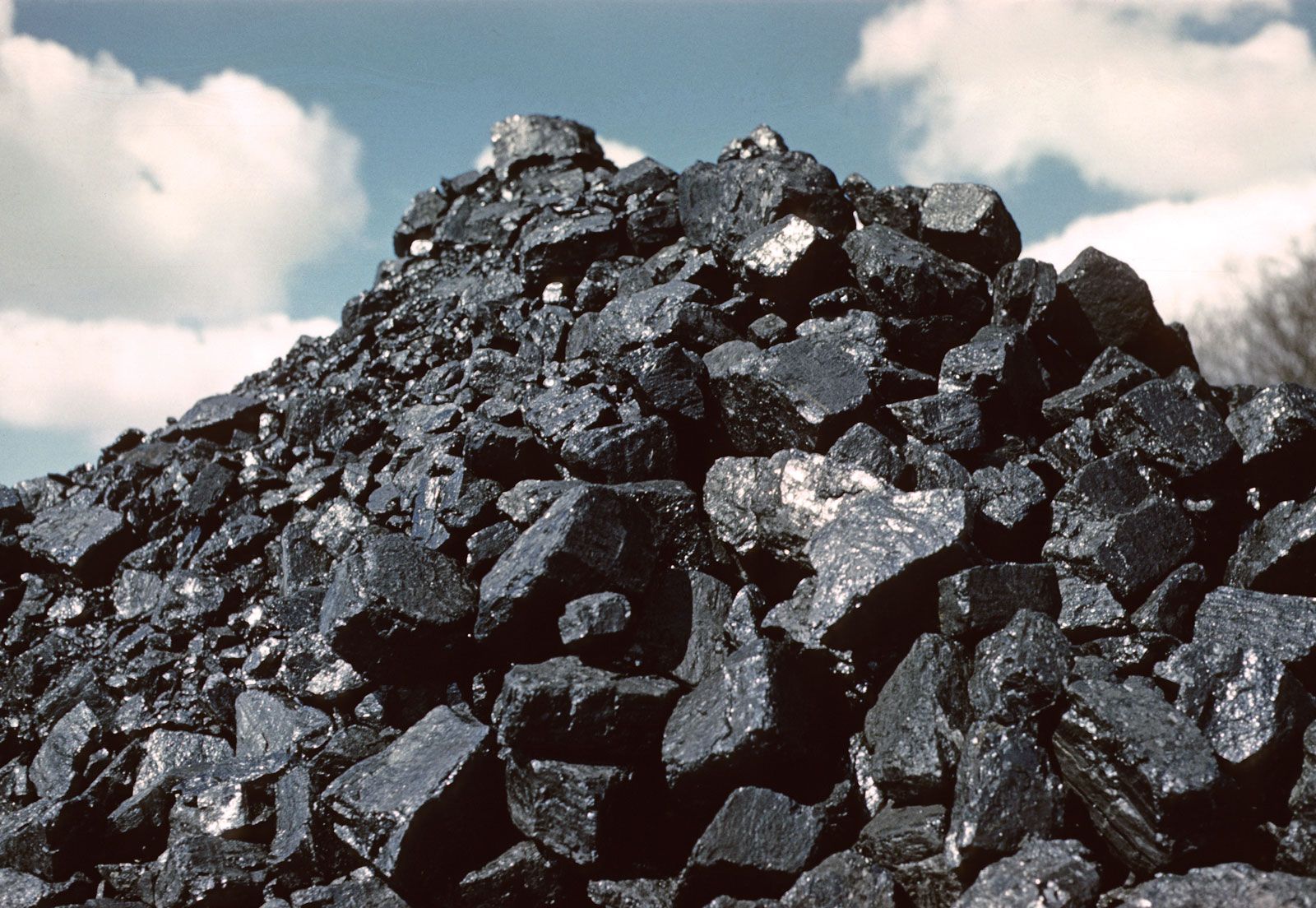 10 Coal For Sale in New York Neighborhoods