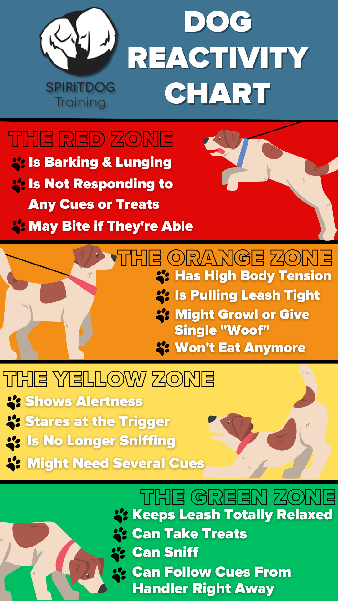10 Reactive Dog Training in New York Neighborhoods