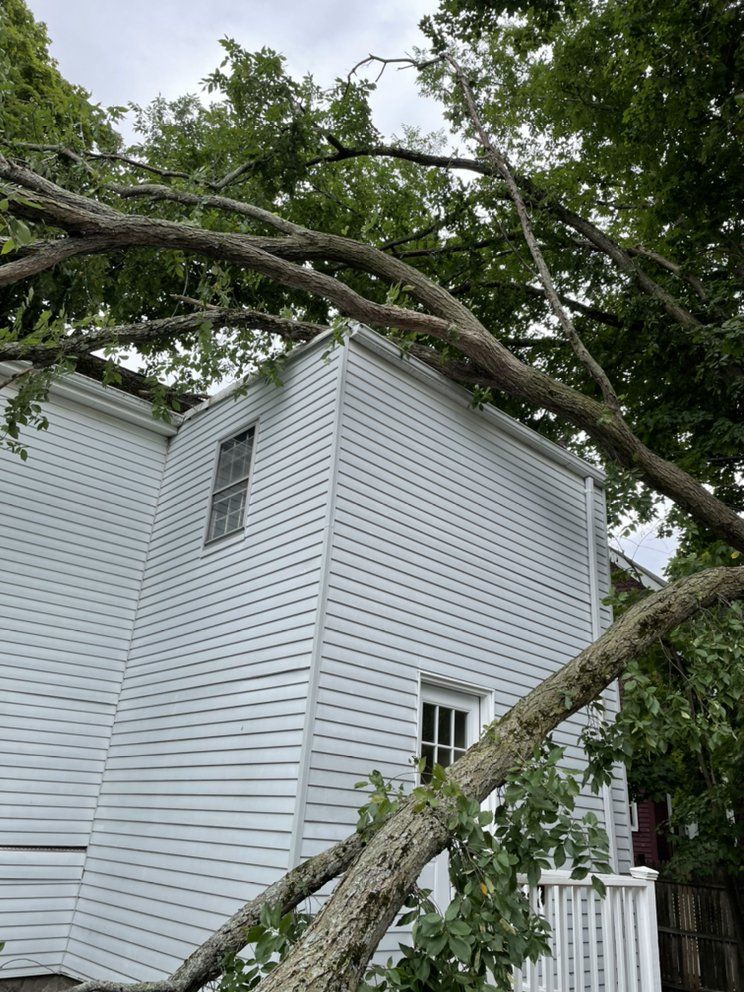 10 Emergency Tree Removal in New York Neighborhoods