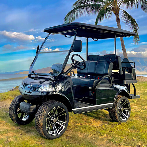 10 Evolution Golf Cart Dealers in New York Neighborhoods