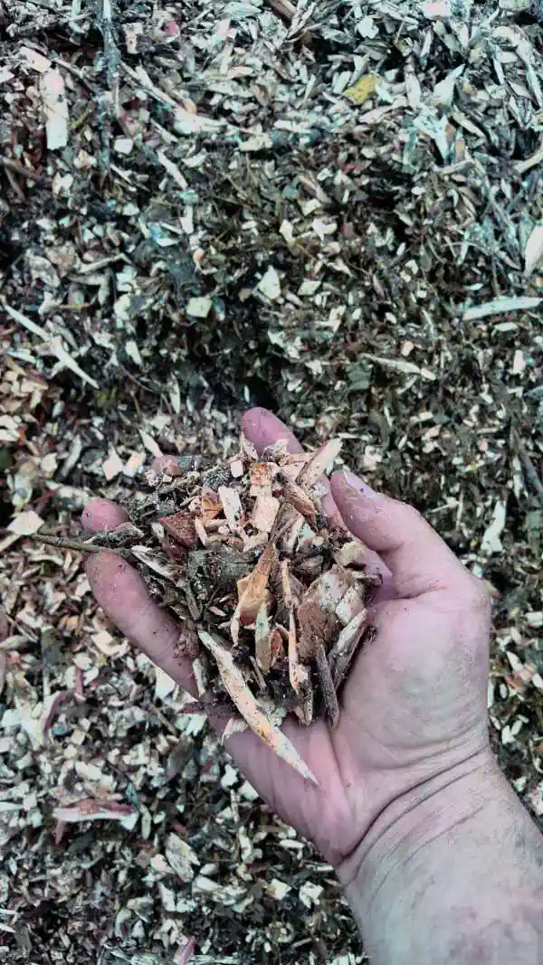 10 Free Mulch in New York Neighborhoods