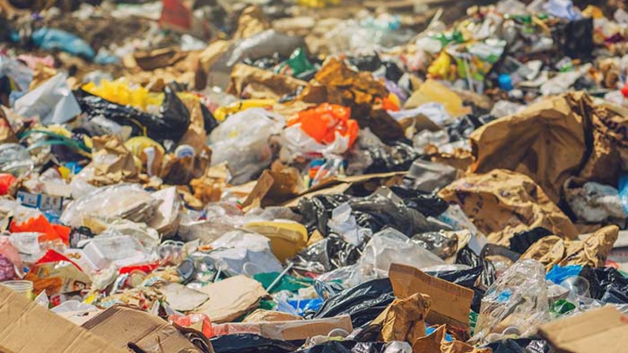 10 Garbage Plate in New York Neighborhoods