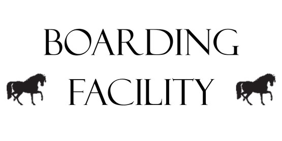 10 Equine Boarding Facilities in New York Neighborhoods