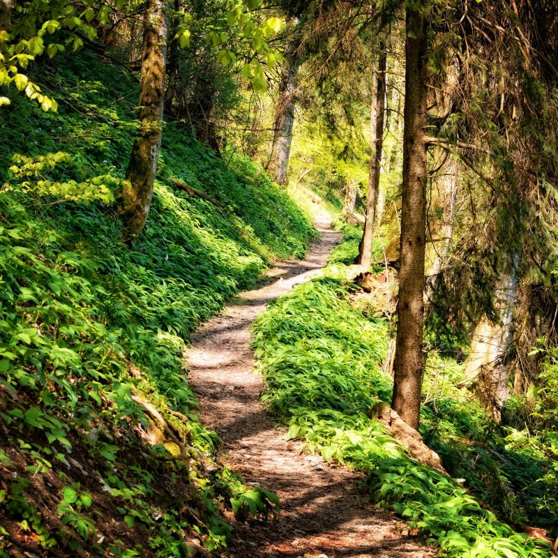10 Great Hiking Trails in New York Neighborhoods