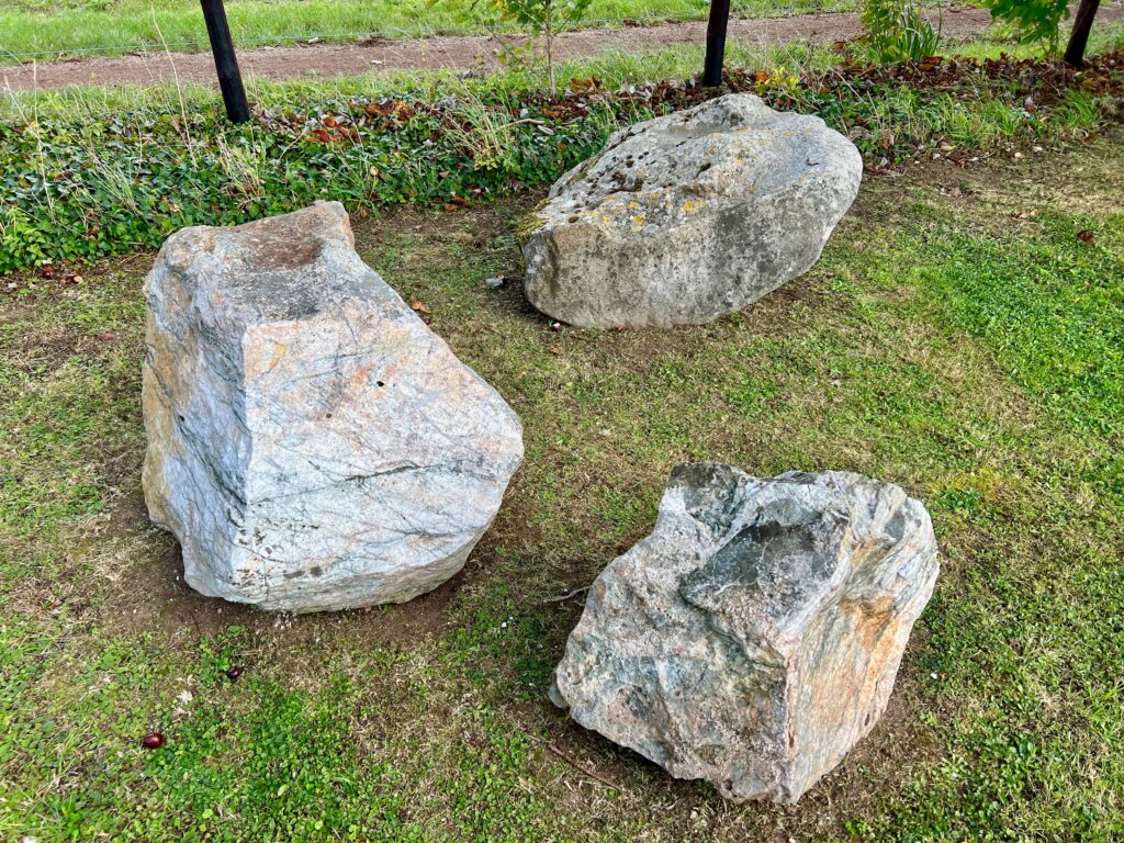 10 Large Landscape Boulders For Sale in New York Neighborhoods