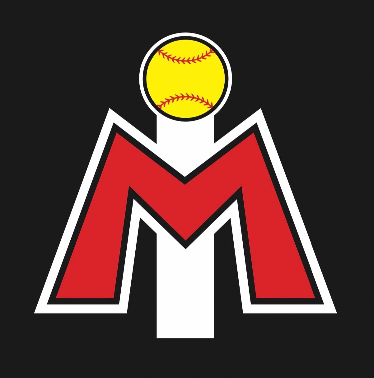 10 Travel Softball Teams in New York Neighborhoods