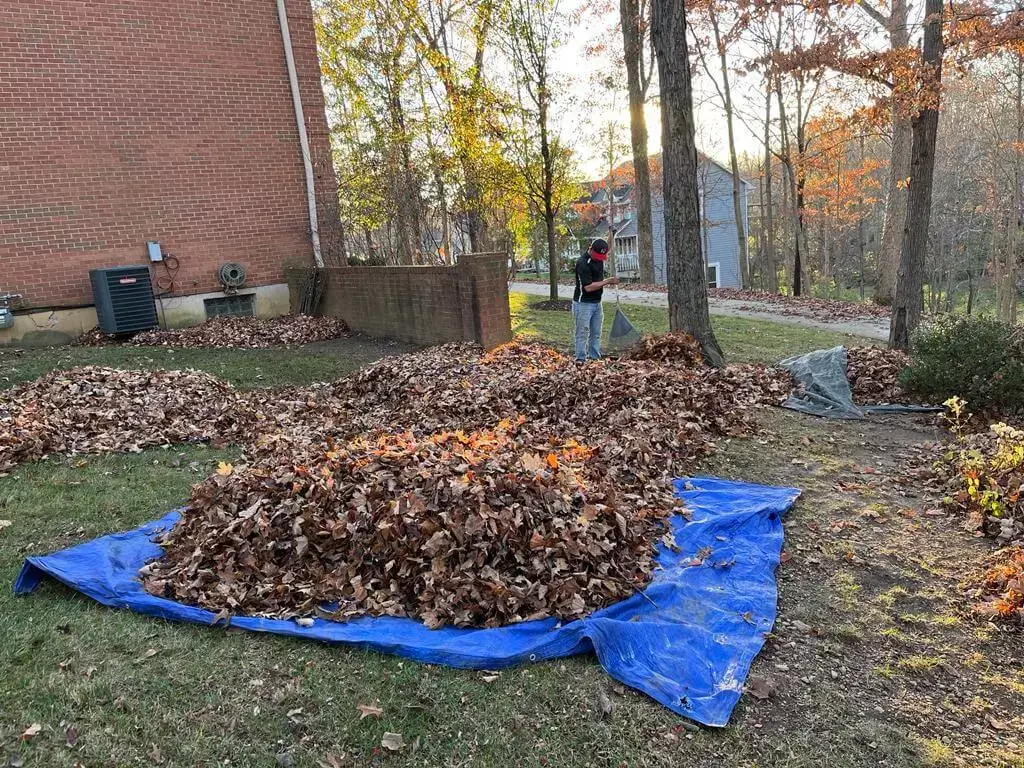 10 Leaf Removal Service in New York Neighborhoods