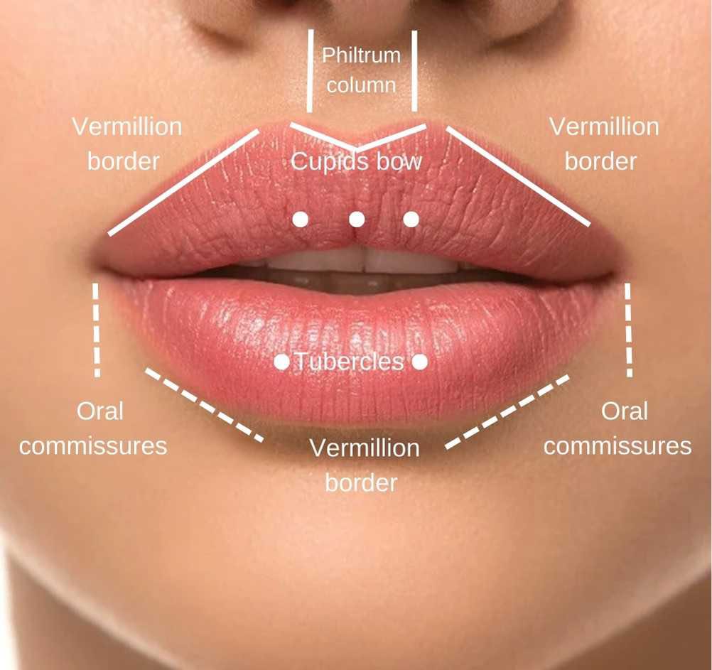 10 Lip Filler in Los Angeles Neighborhoods