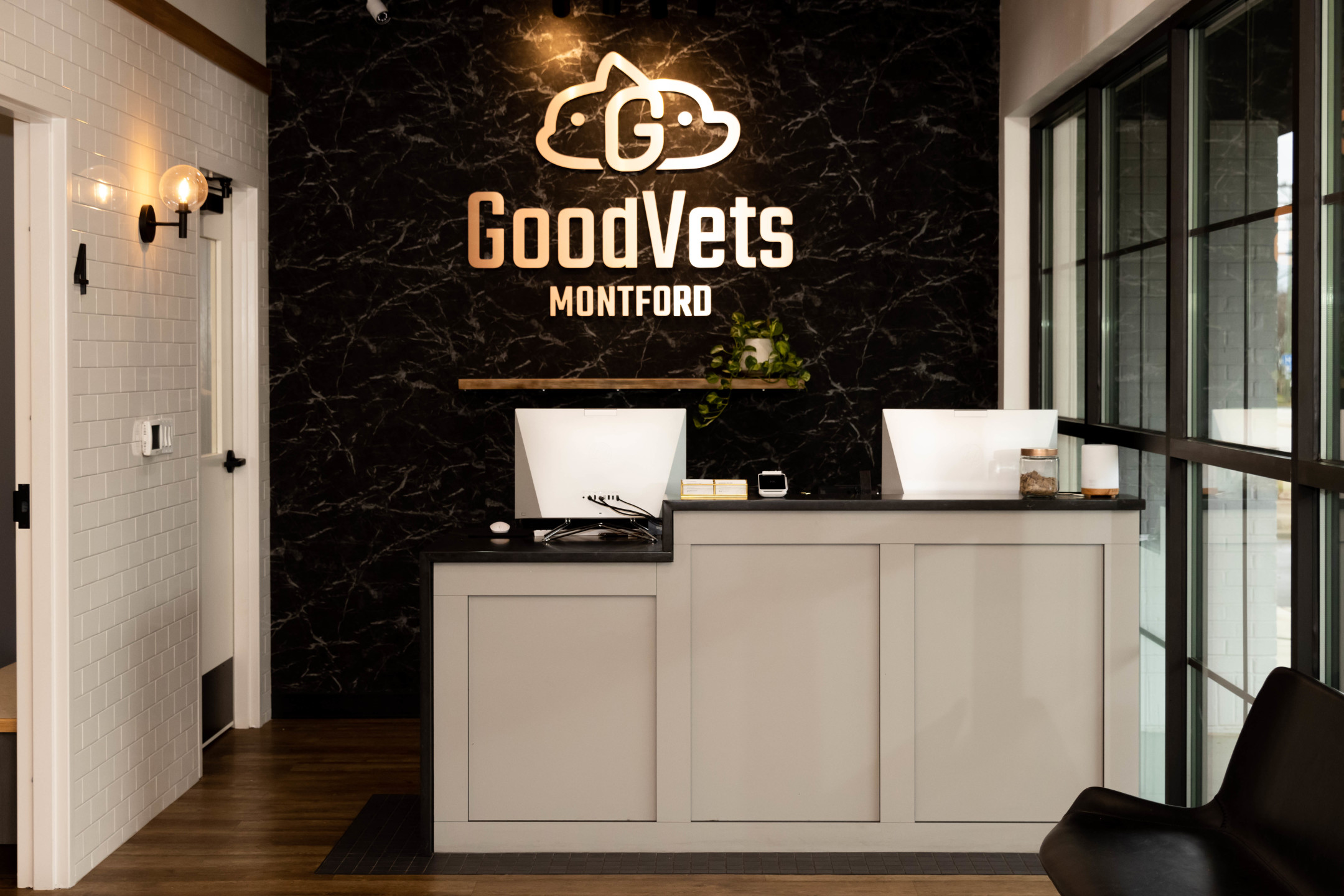 10 Goodvets in New York Neighborhoods