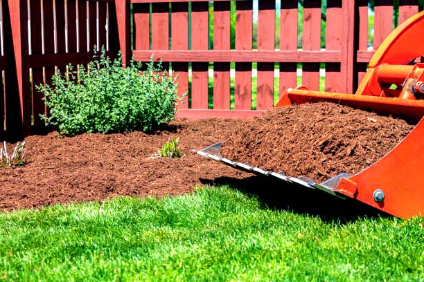 10 Mulching Services in New York Neighborhoods