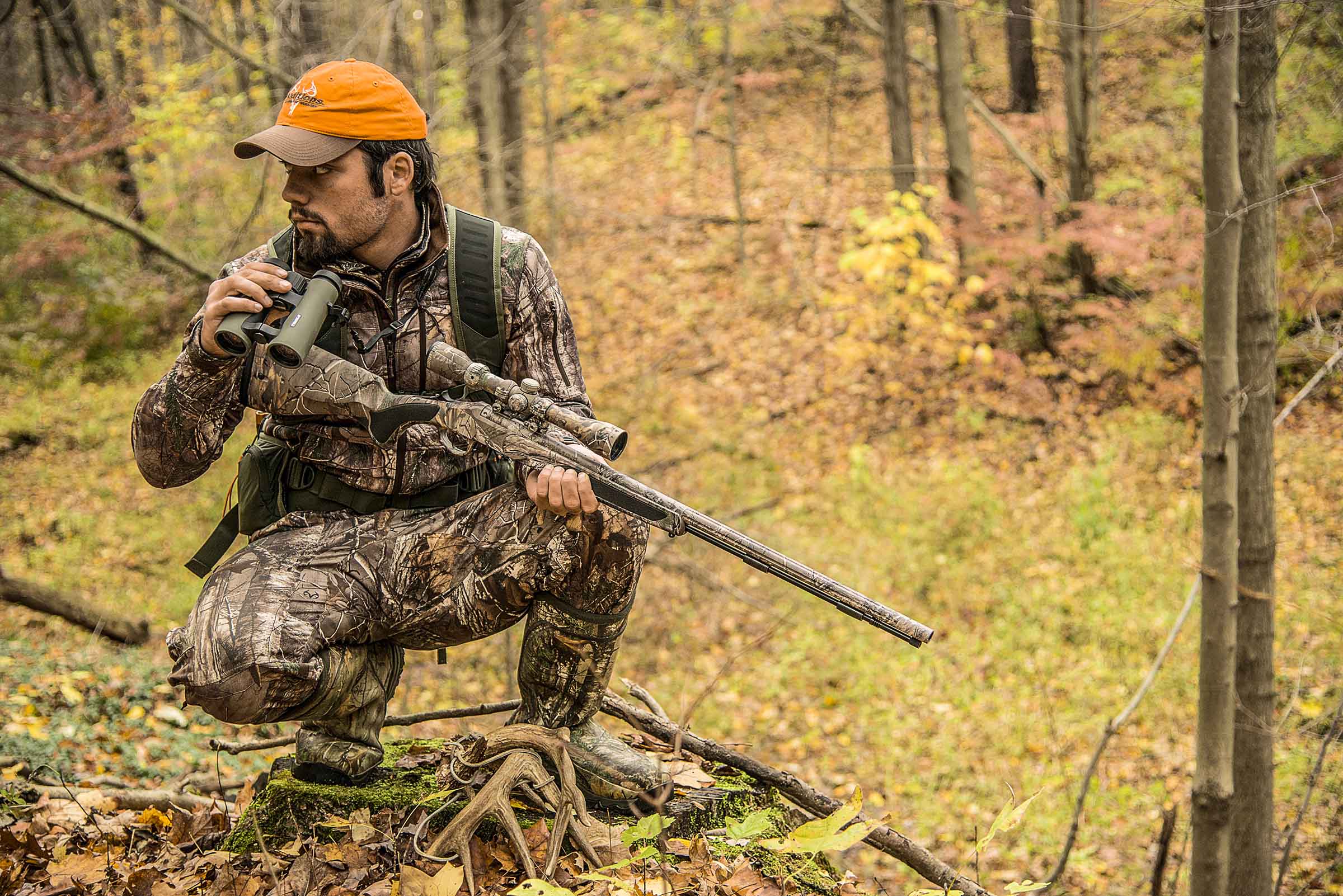 10 Hunting Dog Training in New York Neighborhoods