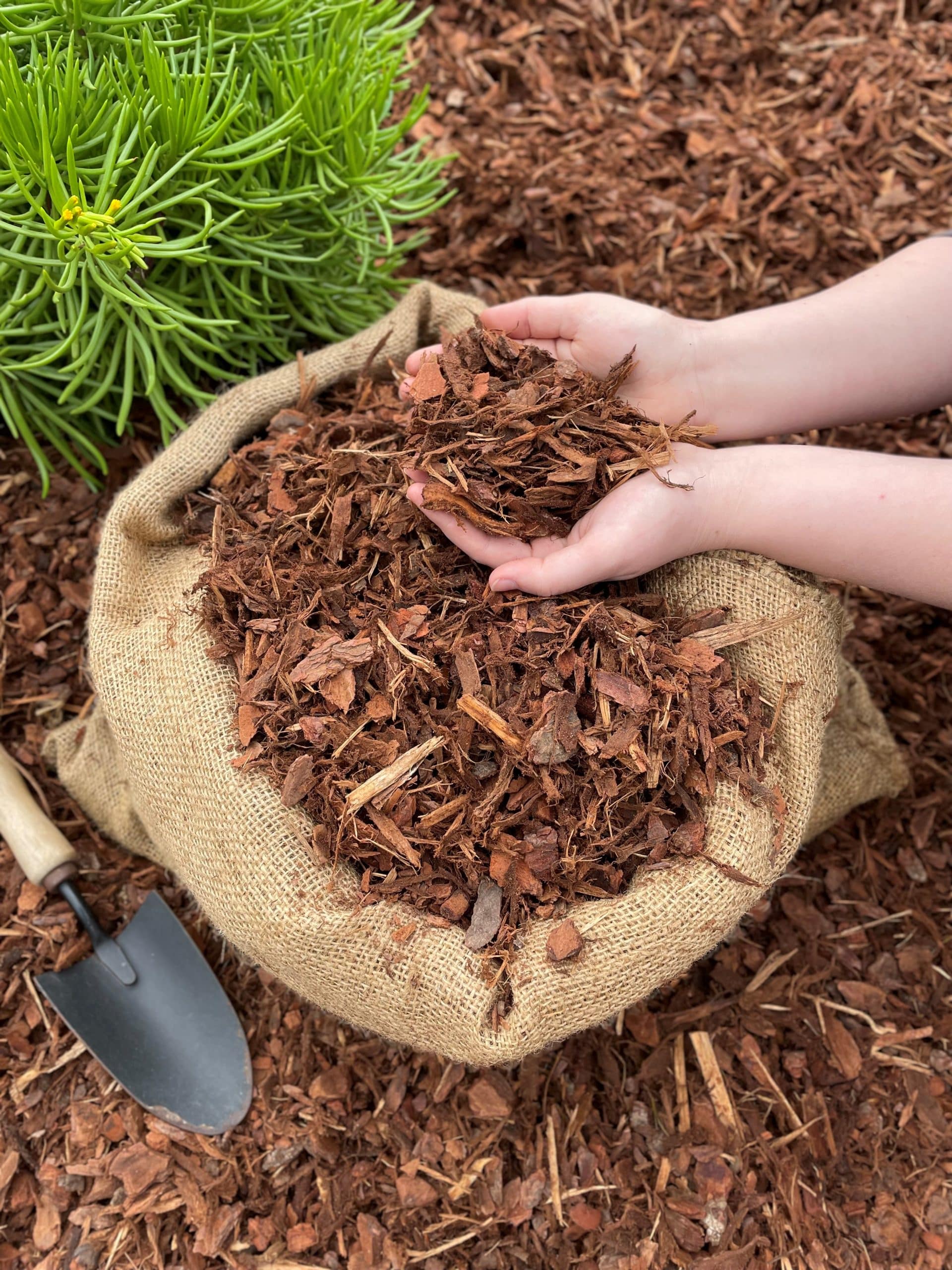 10 Bark Mulch in New York Neighborhoods