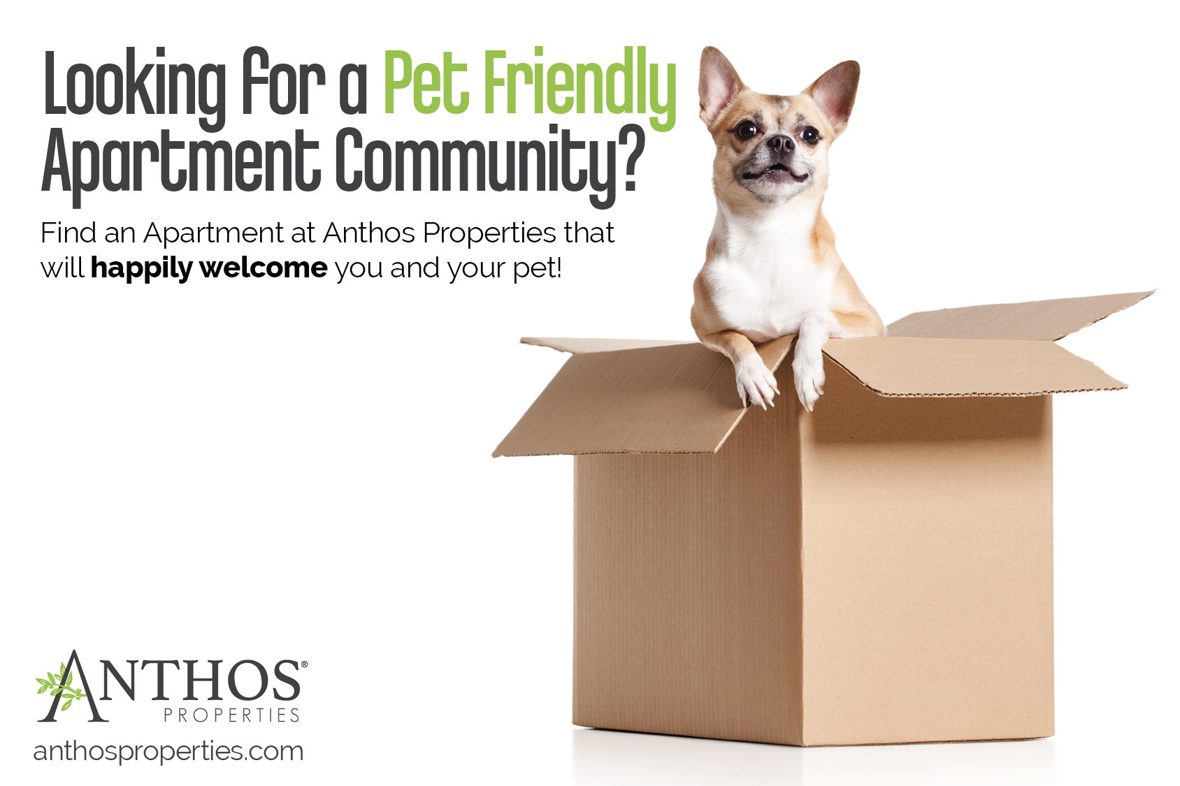 10 Apartments Pet Friendly in New York Neighborhoods