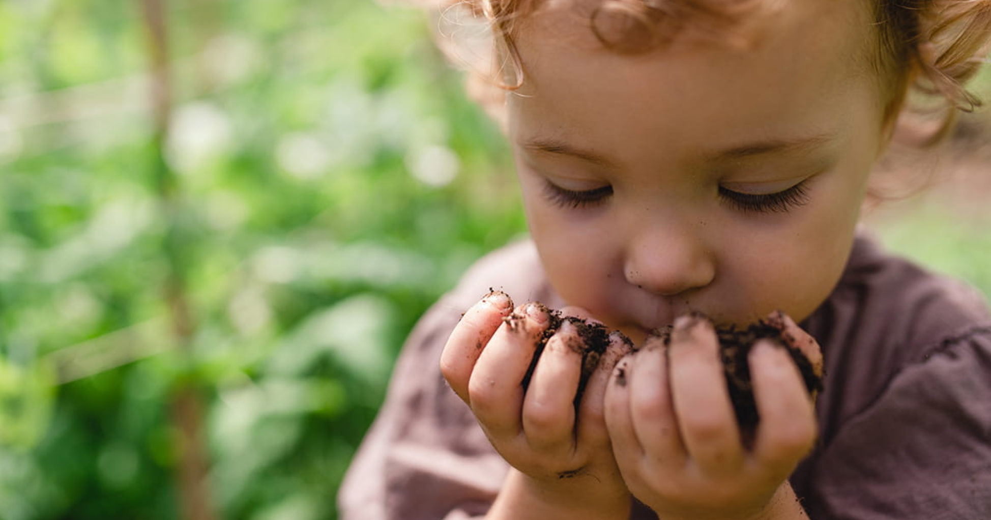 10 Pica Pollo in New York Neighborhoods