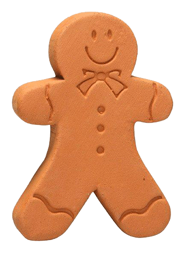 10 Sugar Bears For Sale in New York Neighborhoods