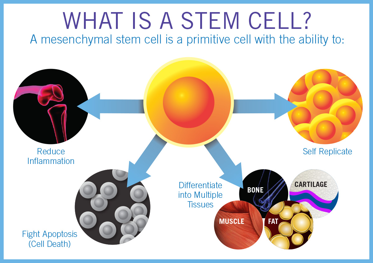 10 Stem Cell Therapy in New York Neighborhoods