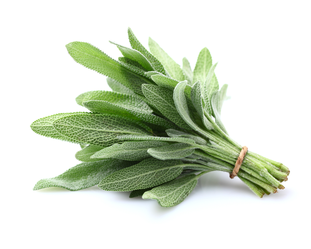 10 Where Can I Buy Sage in New York Neighborhoods