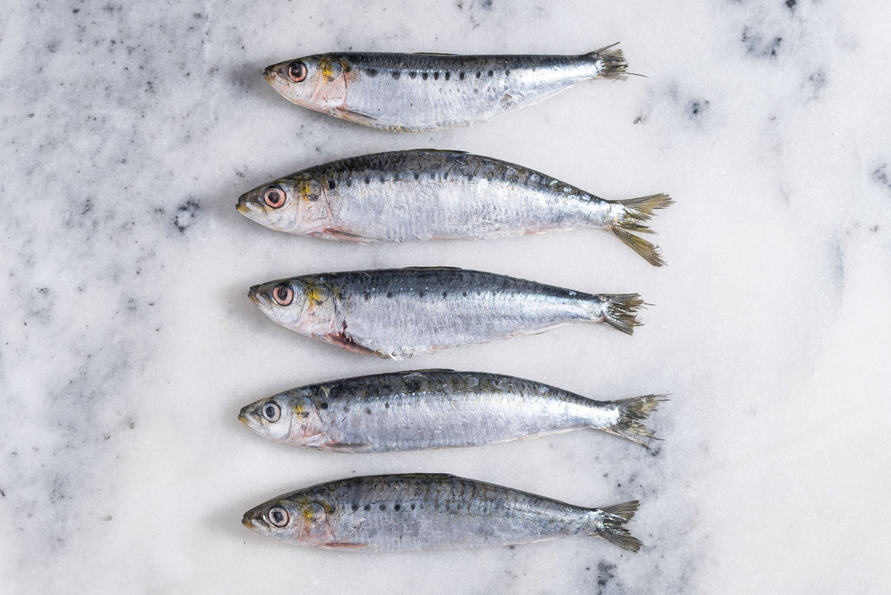 10 Fresh Sardines in New York Neighborhoods