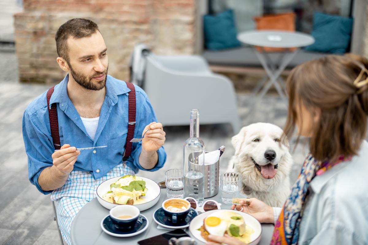 10 Restaurants Dog Friendly in New York Neighborhoods