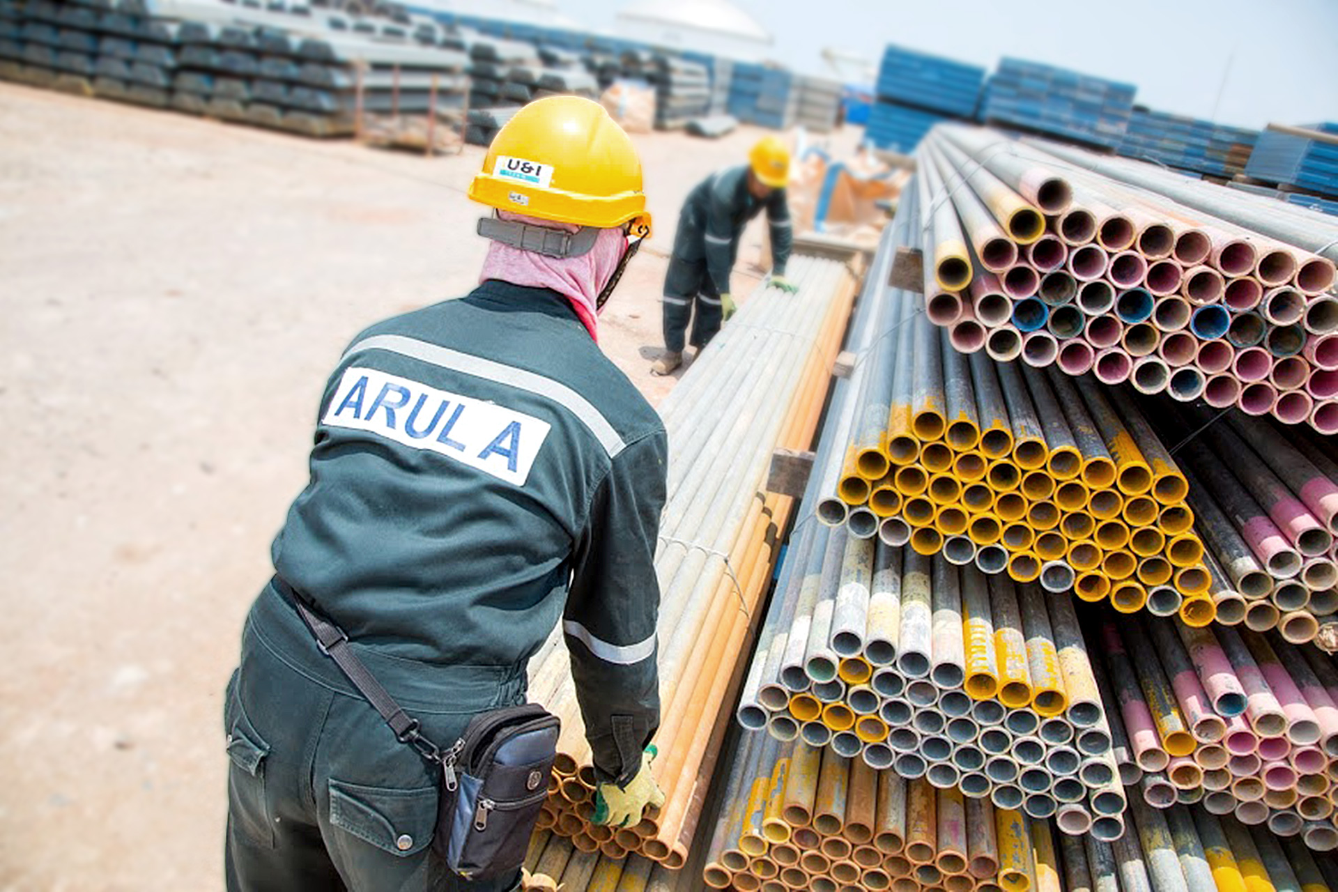 10 Arula in New York Neighborhoods